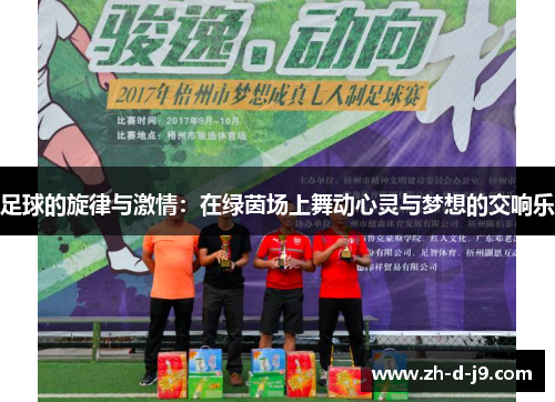 足球的旋律与激情：在绿茵场上舞动心灵与梦想的交响乐