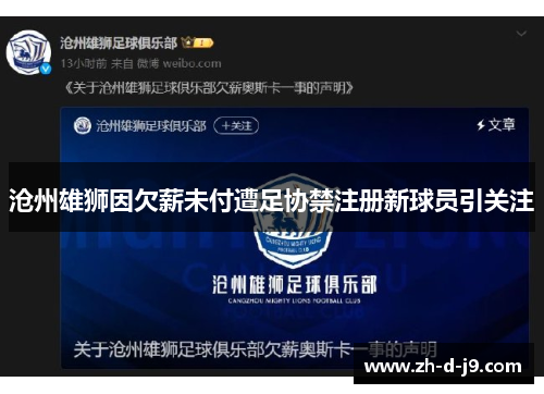 沧州雄狮因欠薪未付遭足协禁注册新球员引关注