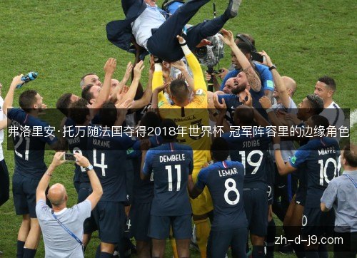 弗洛里安·托万随法国夺得2018年世界杯 冠军阵容里的边缘角色 弗洛里安·托万随法国夺得2018年世界杯 冠军阵容里的边缘角色